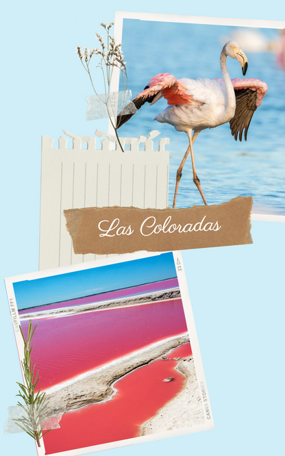 EBOOK MEXIQUE