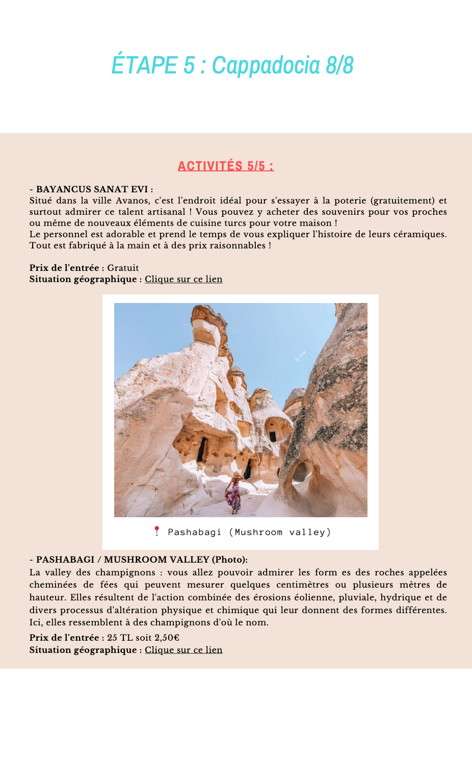EBOOK TURQUIE